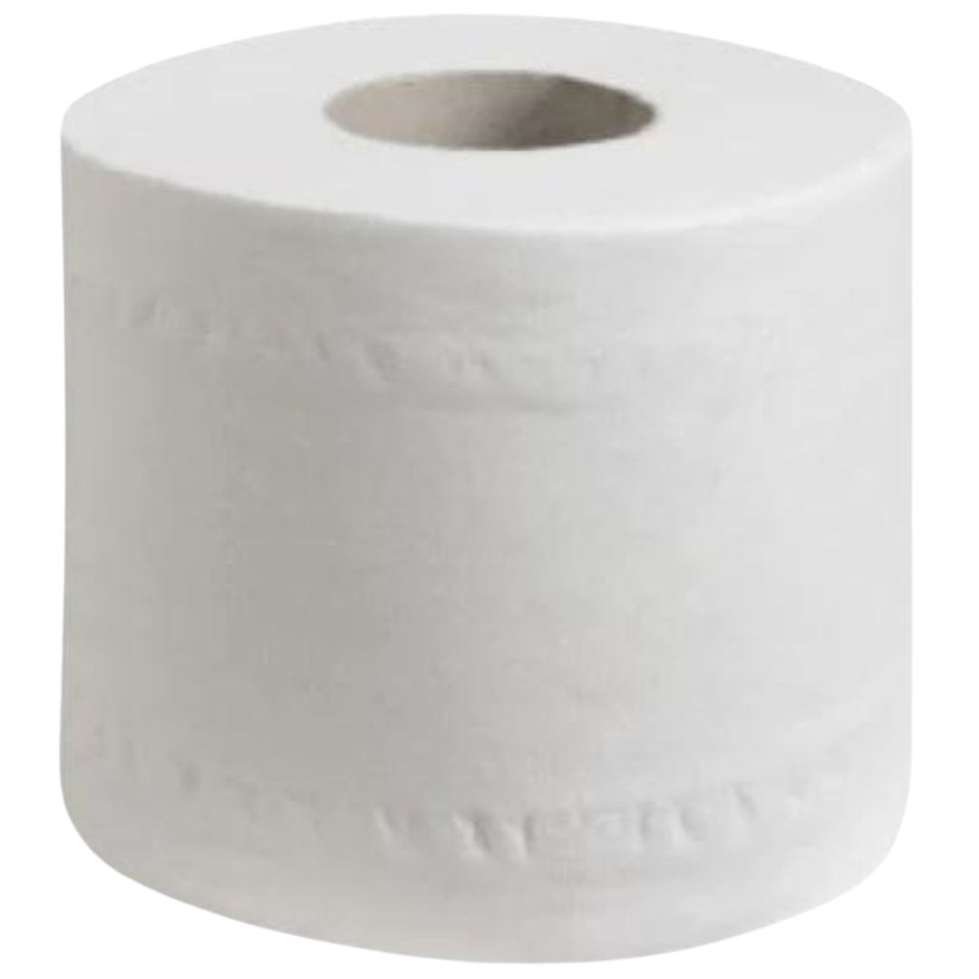 Enviroplus Toilet Tissue Eco 2 Ply 400 Sheet Carton 48